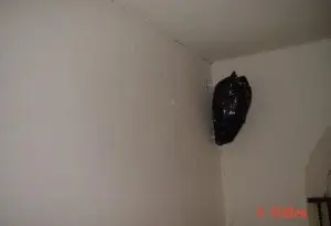 During - Complete Renovation